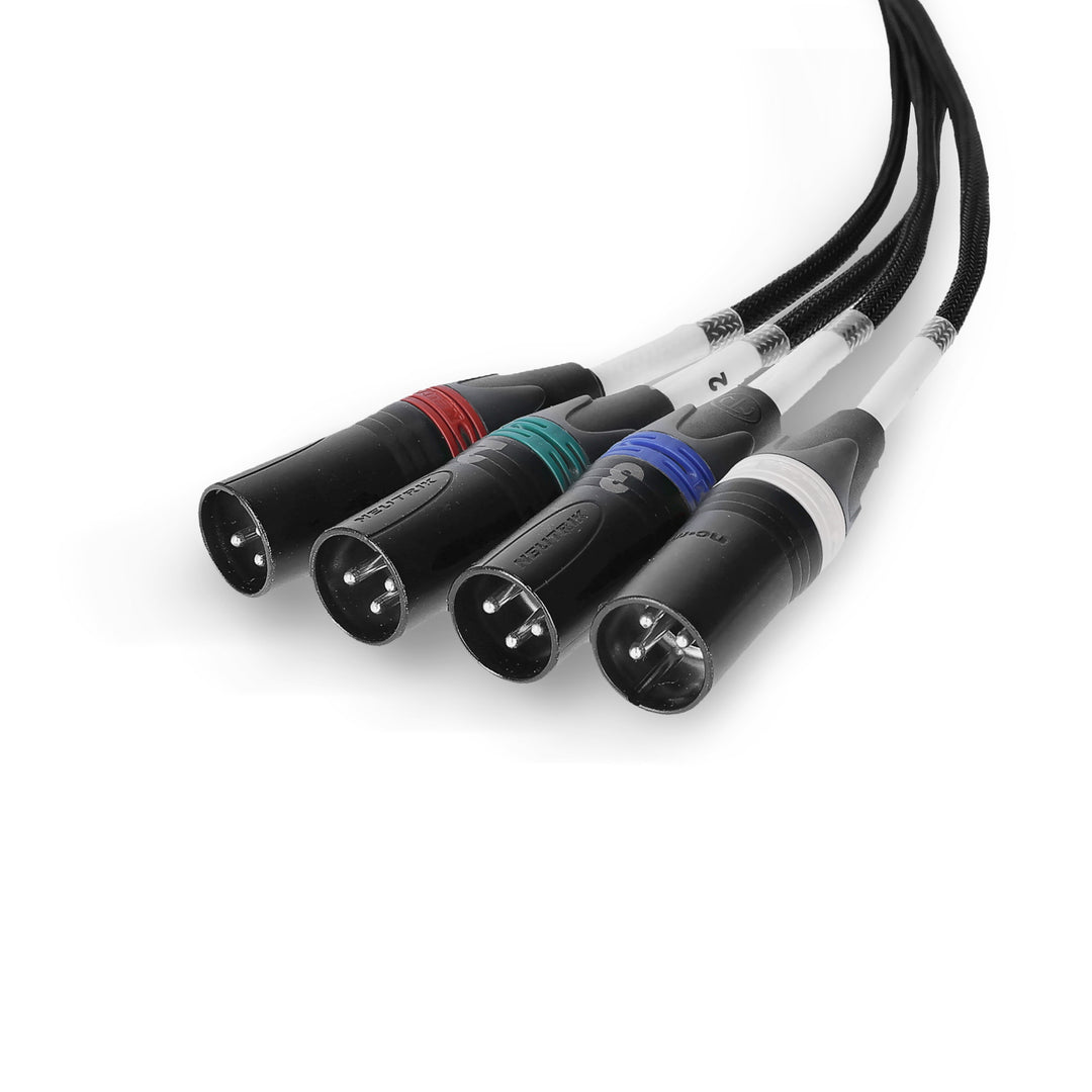 Palmer AoC Loom XLRm - cavo Audio over Cat da etherCON a 4 x XLR maschio