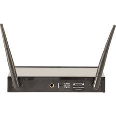 Ibiza Sistema Microfoni Wireless (2 canali)