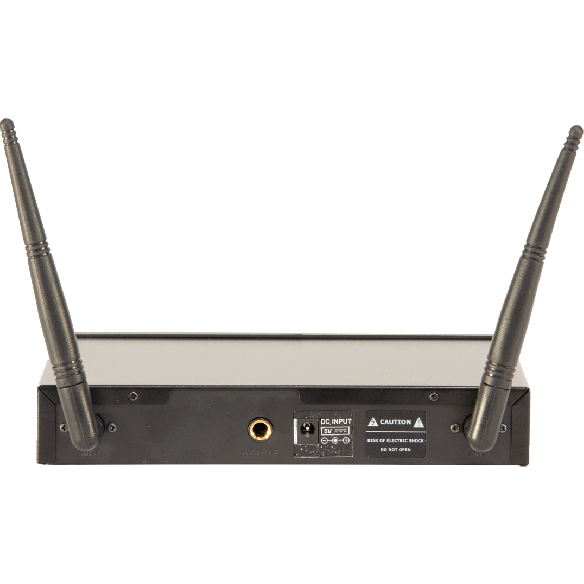 Ibiza Sistema Microfoni Wireless (2 canali)