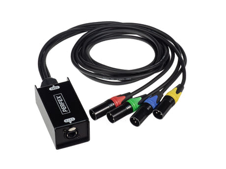 Perfex Cat Snake (Maschio)