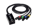 Perfex Cat Snake (Maschio)