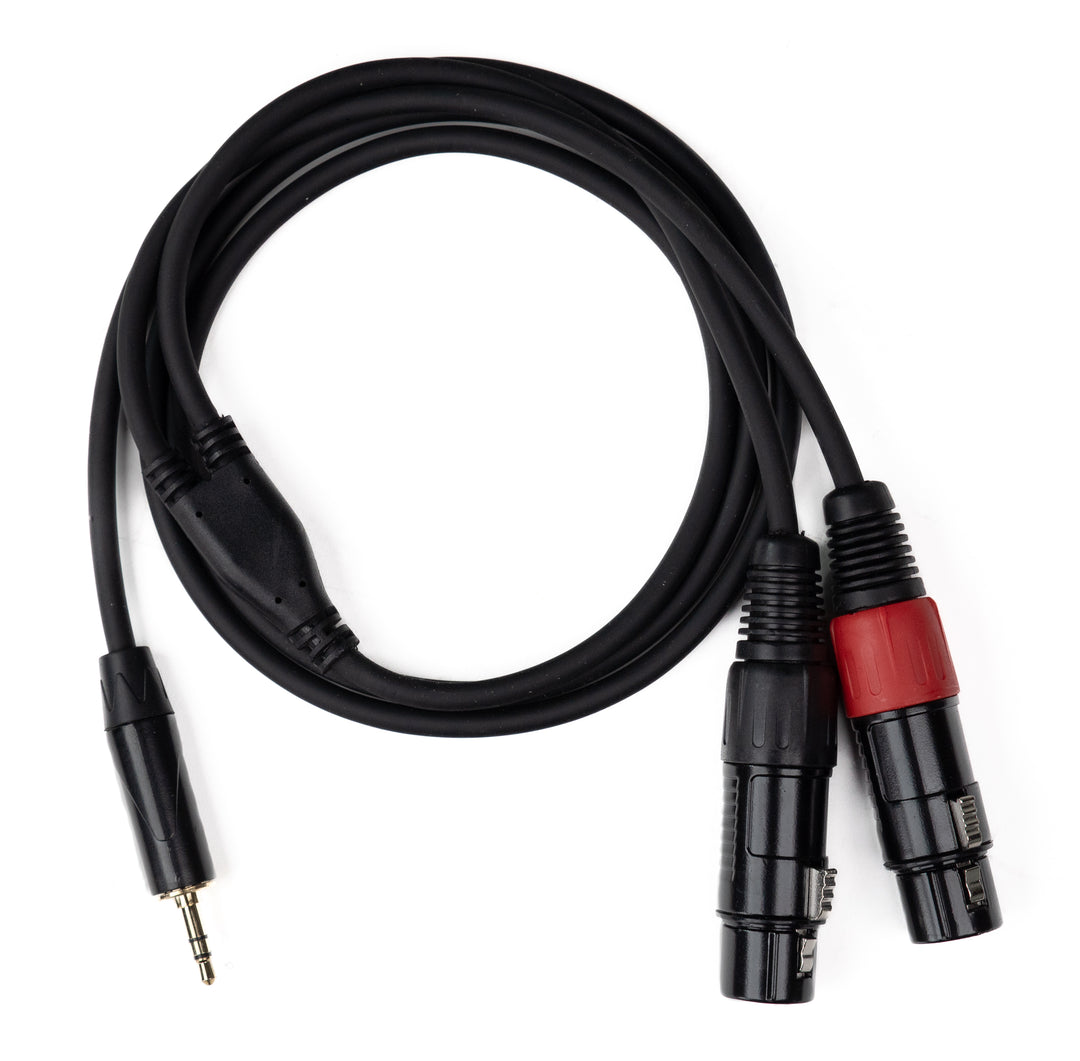 MINIJACK 3,5mm TRS Maschio a 2x XLR Femmina (1,3m)