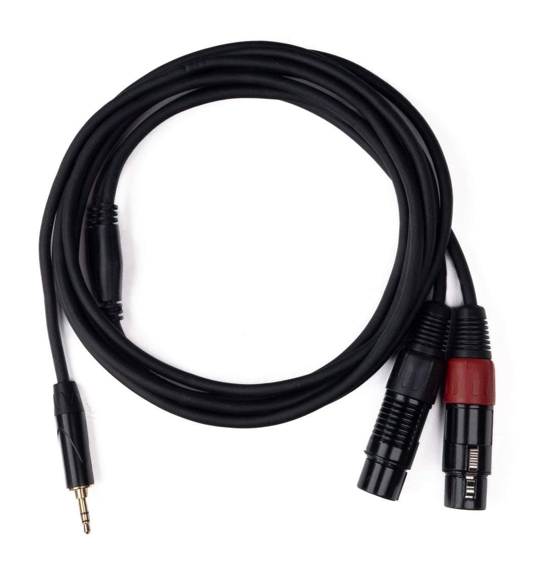 MINIJACK 3,5mm TRS Maschio a 2x XLR Femmina (3m)