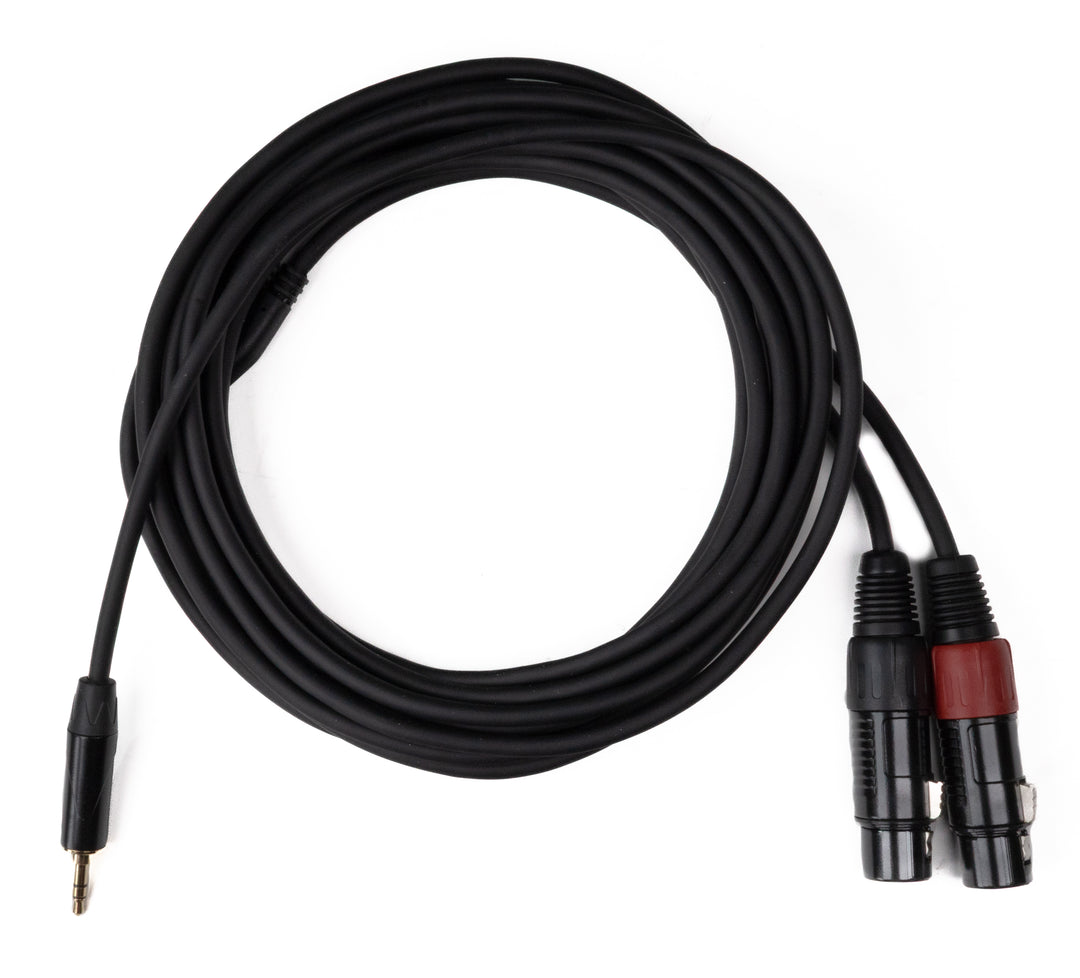 MINIJACK 3,5mm TRS Maschio a 2x XLR Femmina (6m)