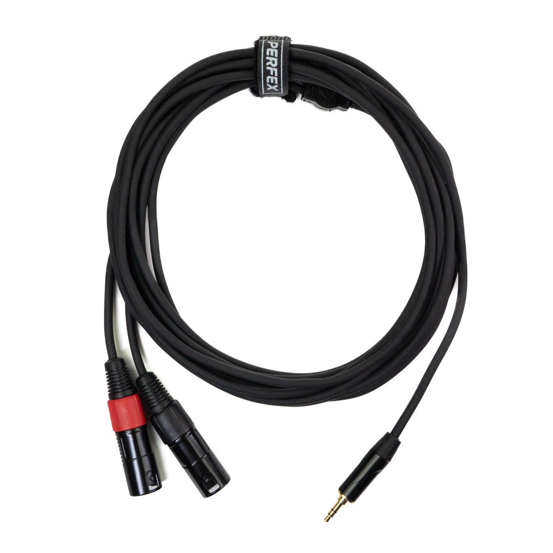 Perfex 2x XLR Maschio a Minijack 3,5mm Cavo (6m)