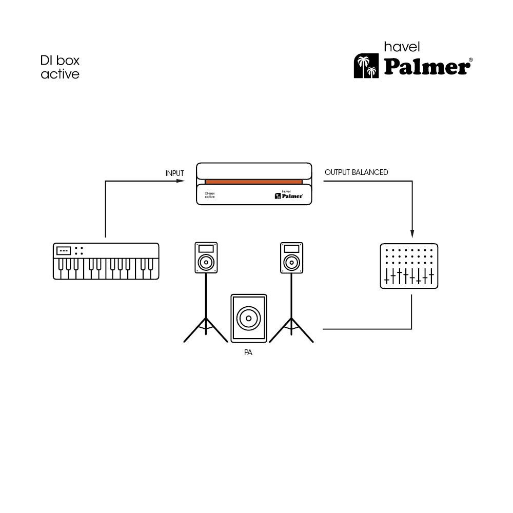Palmer RIVER havel - DI box attiva