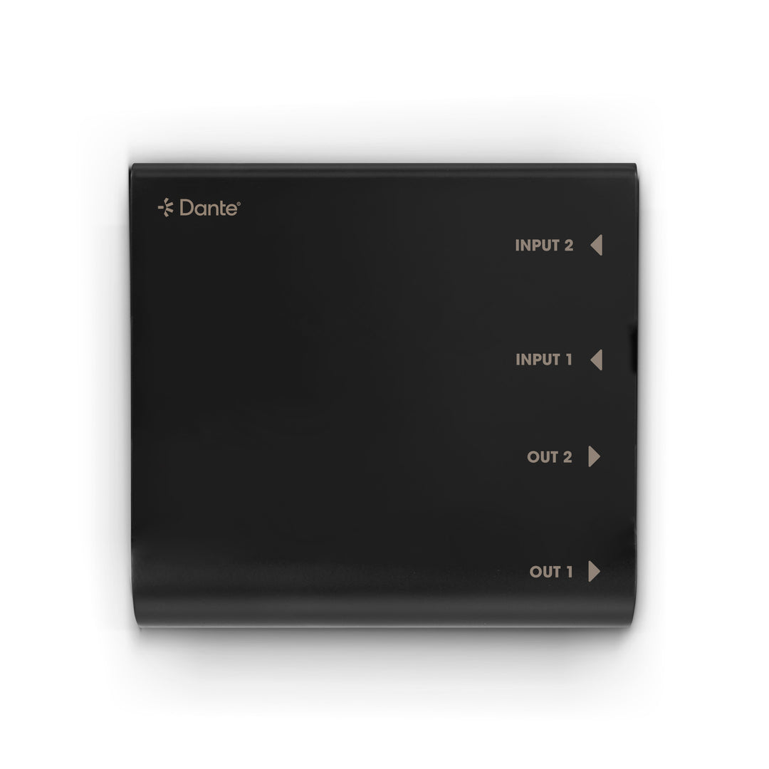 Palmer RIVER lahn - interfaccia Dante® 2x2