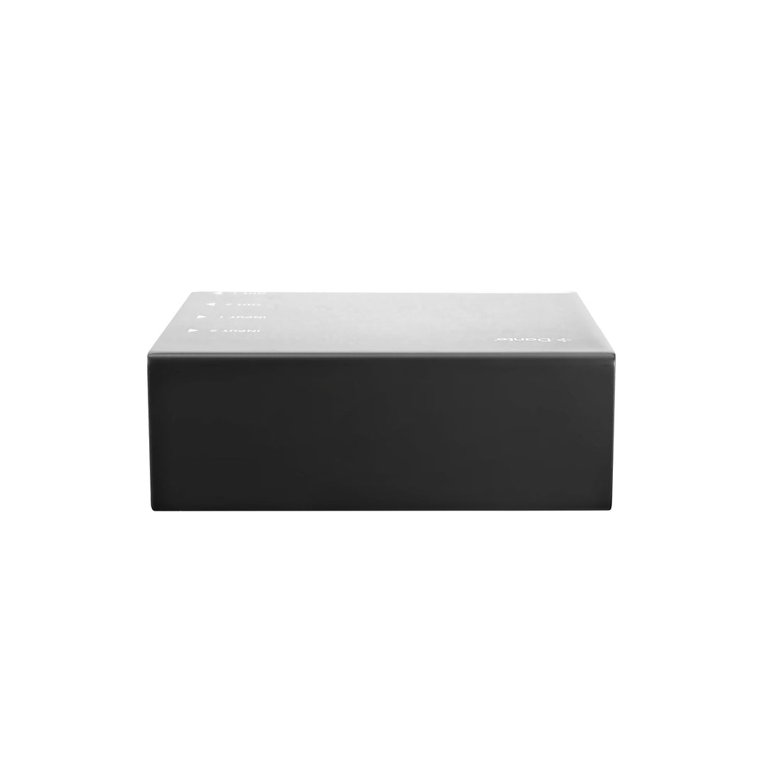 Palmer RIVER lahn - interfaccia Dante® 2x2