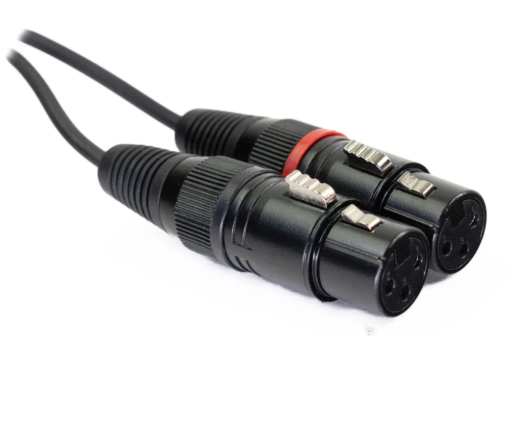 MINIJACK 3,5mm TRS Maschio a 2x XLR Femmina (3m)