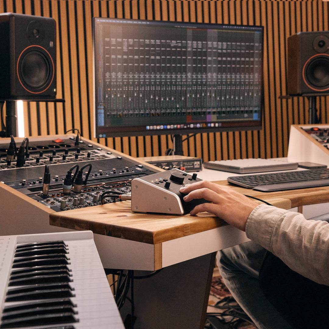 Palmer MONICON L G2 G - Controller per monitor da studio attivo/passivo