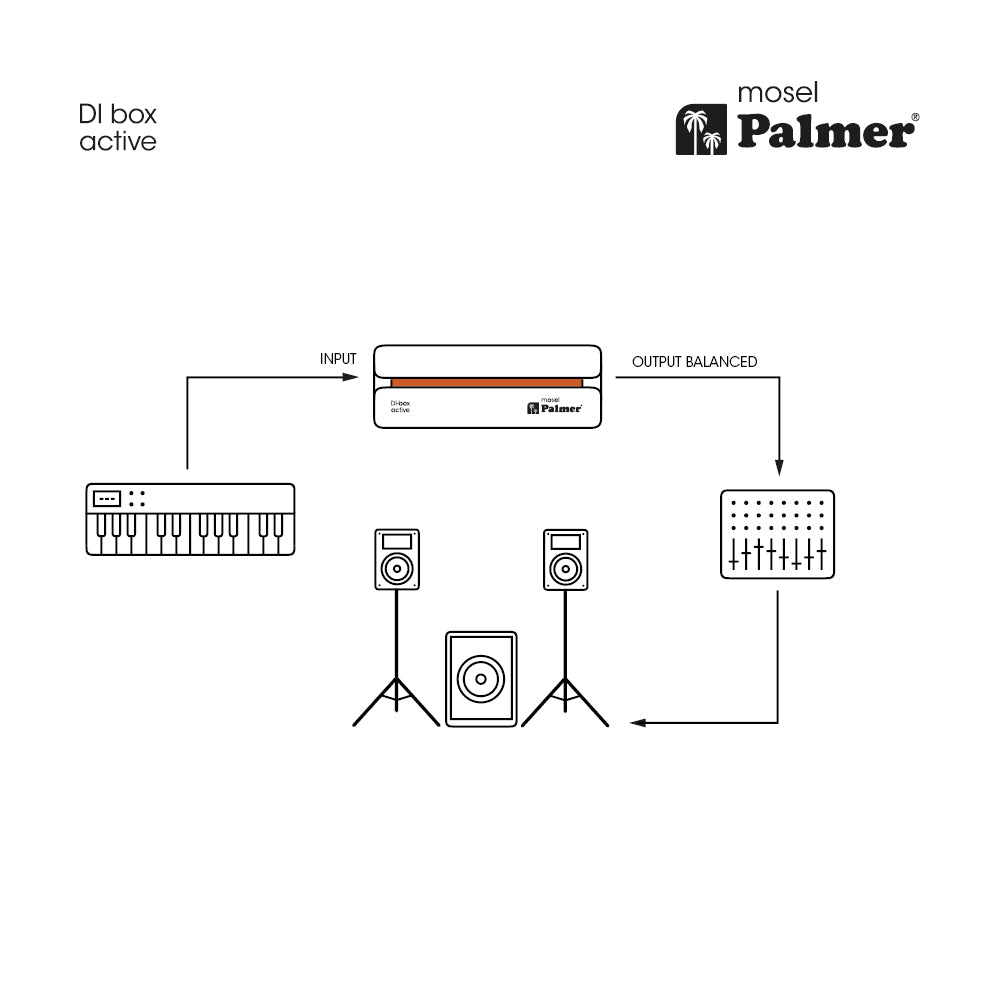 Palmer RIVER-model – DI-box attiva
