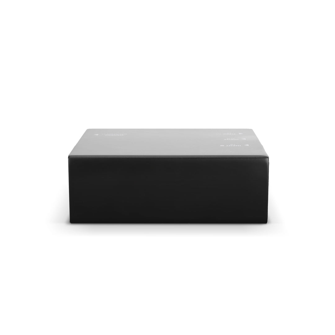 Palmer RIVER-model – DI-box attiva