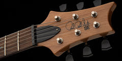 PRS SE "Paul's Guitar" Chitarra elettrica (Turquoise)