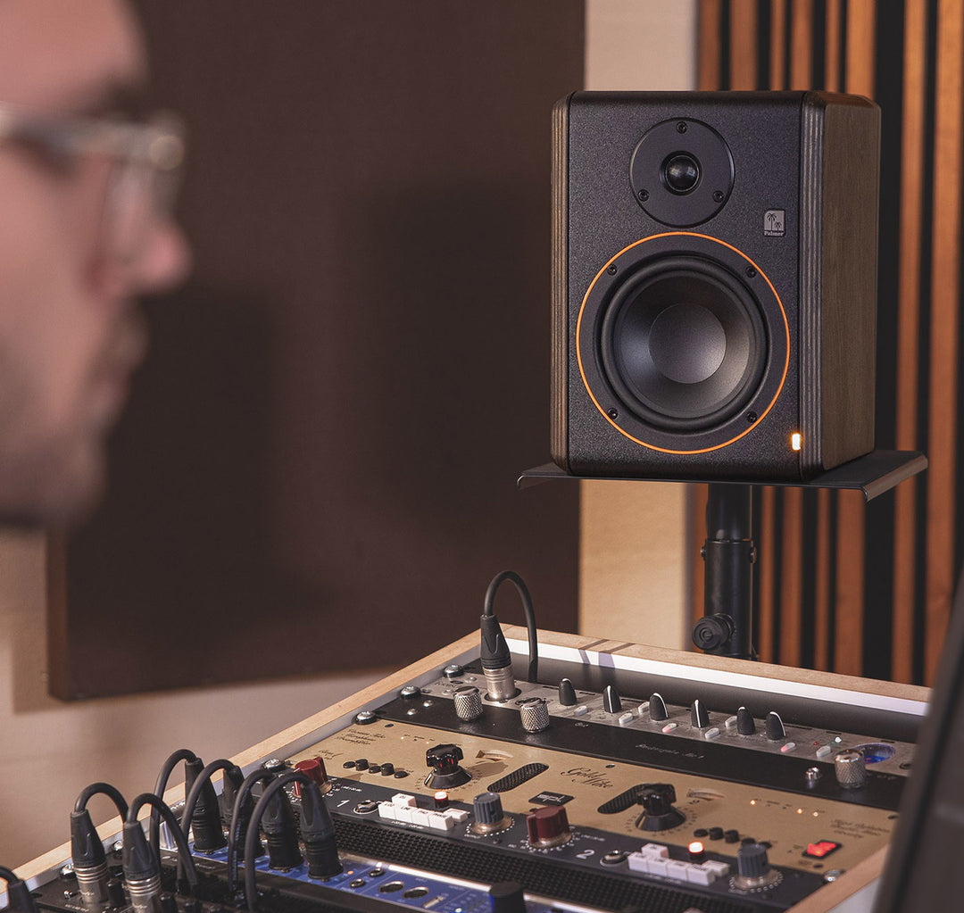 Palmer STUDIMON 5 - Monitor da Studio