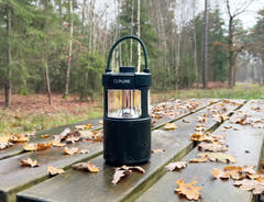 Pure Woodland Glow Green