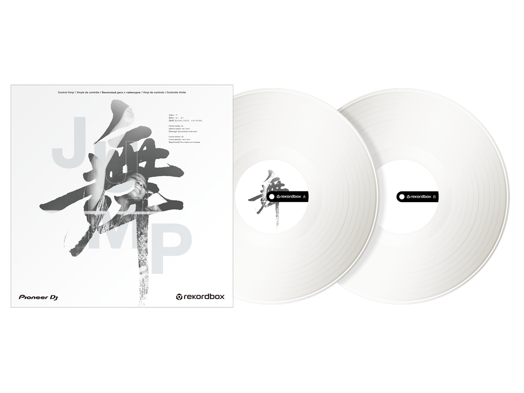 RB-VD2-W Rekordbox control vinyl (set di 2) (bianco)
