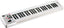 Roland A-49-WH MIDI-Keyboard (Bianco)