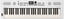 Roland GO:KEYS 5 Tastiere (Bianco)