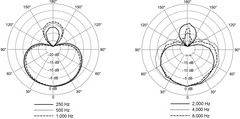 Shure NXN8/S Nexadyne Mikrofono Dinamico (Super-cardioide, Nero)