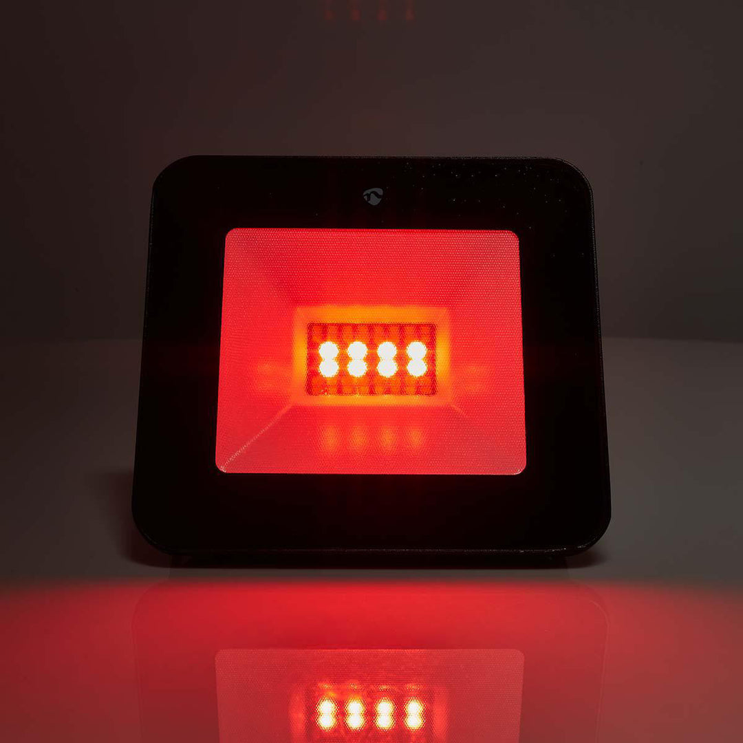SmartLife Proiettore Bianco & RGB (20W)