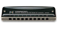 Hammond HA-20 Armoniche (C)
