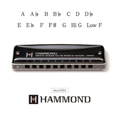 Hammond HA-20 Armoniche (G)