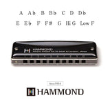 Hammond HA-20 Armoniche (C)