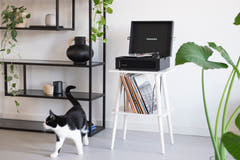 Crosley - Mobile per giradischi Manchester (Bianco)