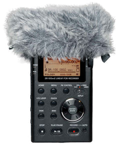 Tascam WS-11 Windpels
