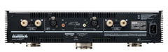 TEAC AP-701 Amplificatore Stereo/Mono (Argento)
