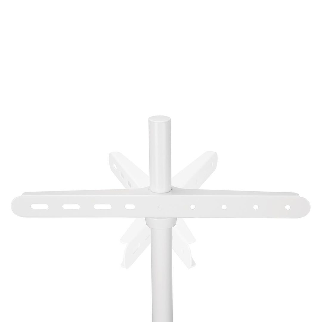 Supporto da Pavimento per TV (Bianco, Faggio, 50-65")