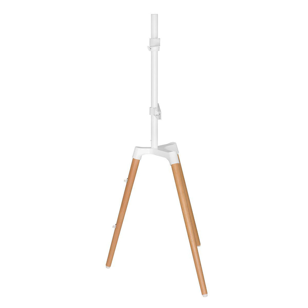 Supporto da Pavimento per TV (Bianco, Faggio, 50-65")