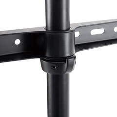 Supporto TV da Pavimento (Nero, Faggio 50-65")