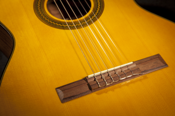 Takamine Gc1ce Night Night Classic Spanish Guitar (Nature)