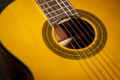 Takamine Gc1ce Night Night Classic Spanish Guitar (Nature)