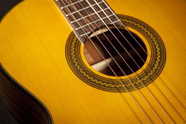 Takamine Gc1ce Night Night Classic Spanish Guitar (Nature)