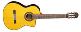 Takamine GC5ce Night Night Classic Spanish Guitar (Nature)