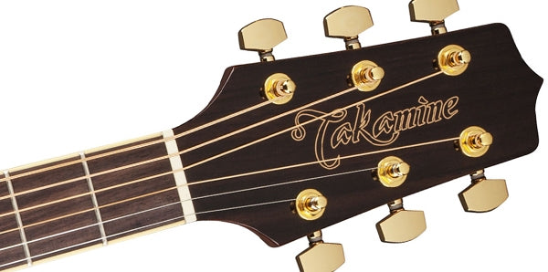 Takamine Gd51ce-Nig Western Guitar (Nature)