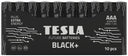 Tesla Black+ AAA Batterie (10 pz)