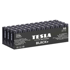 Tesla Black+ AA Batterie (48 pz)