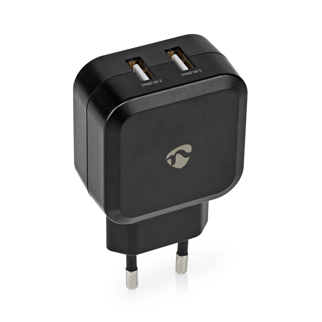Caricatore USB (2x 2,4A)