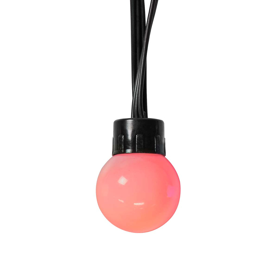 SmartLife Catena Luminosa Decorativa con 48 Lampadine LED