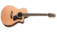Walden G630CEW Chitarre Western (Naturale)