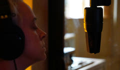 sE Electronics X1S Microfono a Condensatore da Studio