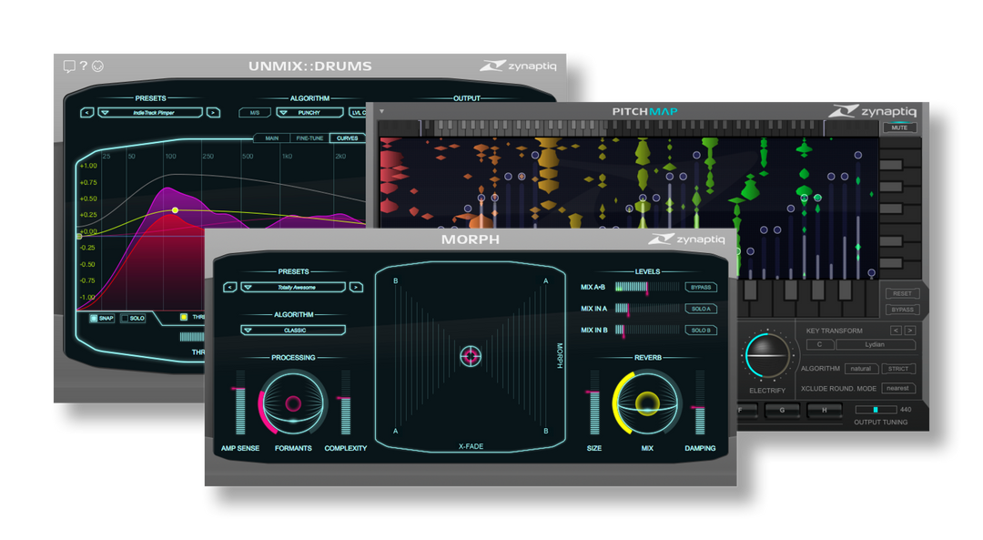 Bundle Zynaptiq REMIX
