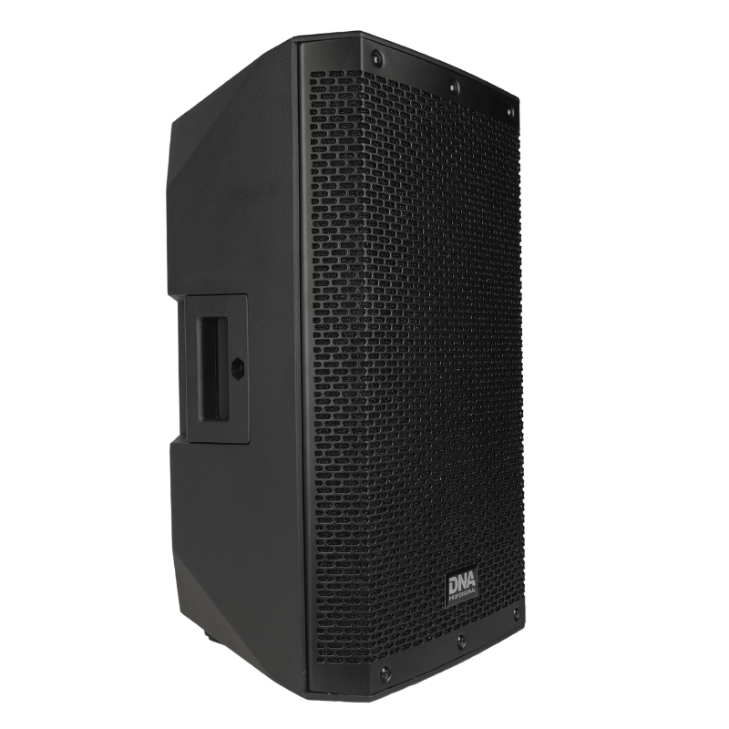 DNA SPX10 DSP cabinet per altoparlante attivo 10" 250W