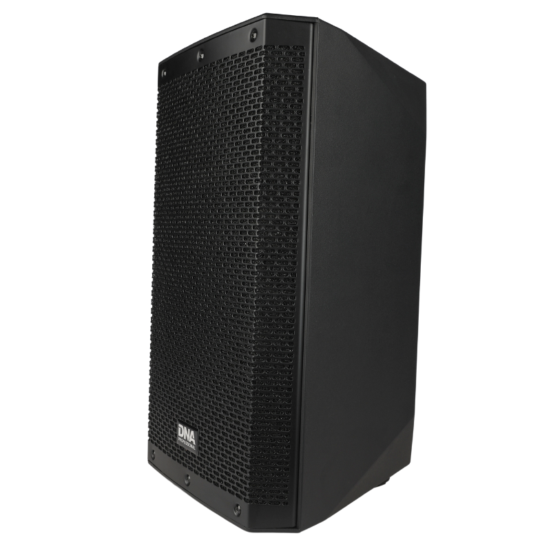 DNA SPX10 DSP cabinet per altoparlante attivo 10" 250W