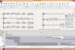 Sibelius Ultimate Licenza perpetua