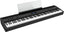 Roland FP-60X Digital Piano (Black)
