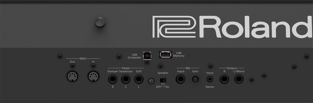 Roland FP-90X Pianoforte Elettrico (Nero)